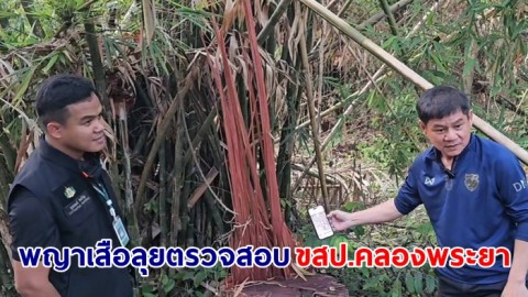 พญาเสือลุยตรวจสอบ ขสป.คลองพระยา พบหัวหน้าฯมีเอี่ยวบุกรุกที่ป่า อธิบดีอุทยานฯ สั่งย้ายด่วน-ตั้งกรรมการสอบ