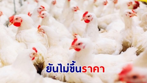 พาณิชย์ ยันเนื้อไก่ไม่ขึ้นราคา สั่งห้างช่วยจัดโปรฯ ดูแลผู้บริโภค