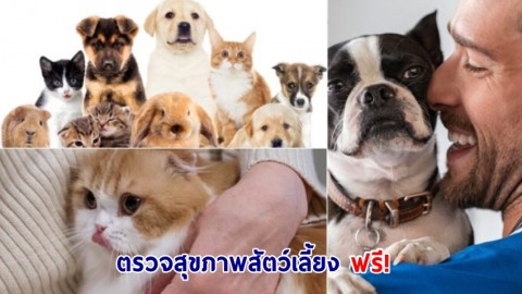 ตรวจสุขภาพสัตว์เลี้ยง ฟรี! ในงาน COSI Pet Day 2 ที่ โคซี่ พัทยา วงศ์อมาตย์ บีช