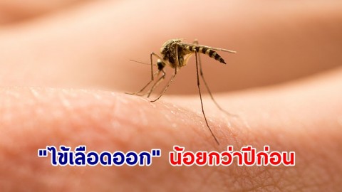 "หมอยง" เผย "ไข้เลือดออก" ระบาดน้อยกว่าปีก่อนมาก